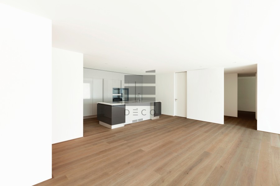 beautiful empty apartment, modern kitchen