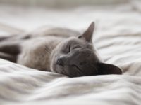 Vuoi una vita tranquilla? Migliora l’isolamento acustico della tua casa